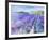 Lavender IV-Li Bo-Framed Giclee Print