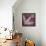 Lavender Laurel-Booker Morey-Framed Stretched Canvas displayed on a wall