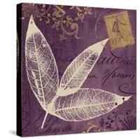 Lavender Laurel-Booker Morey-Stretched Canvas