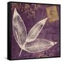 Lavender Laurel-Booker Morey-Framed Stretched Canvas