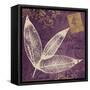 Lavender Laurel-Booker Morey-Framed Stretched Canvas