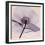 Lavender Love-Albert Koetsier-Framed Photographic Print