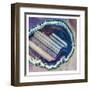 Lavender Minerals-Marcus Prime-Framed Art Print