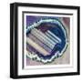 Lavender Minerals-Marcus Prime-Framed Art Print