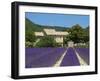 Lavender Near Banon, Provence, Provence-Alpes-Cote D'Azur, France-Katja Kreder-Framed Premium Photographic Print