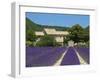 Lavender Near Banon, Provence, Provence-Alpes-Cote D'Azur, France-Katja Kreder-Framed Premium Photographic Print