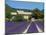 Lavender Near Banon, Provence, Provence-Alpes-Cote D'Azur, France-Katja Kreder-Mounted Premium Photographic Print