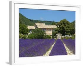 Lavender Near Banon, Provence, Provence-Alpes-Cote D'Azur, France-Katja Kreder-Framed Photographic Print