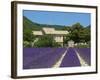 Lavender Near Banon, Provence, Provence-Alpes-Cote D'Azur, France-Katja Kreder-Framed Photographic Print