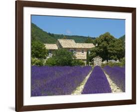 Lavender Near Banon, Provence, Provence-Alpes-Cote D'Azur, France-Katja Kreder-Framed Photographic Print