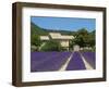 Lavender Near Banon, Provence, Provence-Alpes-Cote D'Azur, France-Katja Kreder-Framed Photographic Print