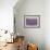 Lavender on Linen 1-Bret Staehling-Framed Art Print displayed on a wall