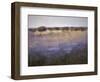 Lavender & Orchard Impression-Ken Hildrew-Framed Art Print