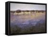 Lavender & Orchard Impression-Ken Hildrew-Framed Stretched Canvas