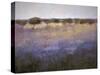 Lavender & Orchard Impression-Ken Hildrew-Stretched Canvas