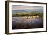 Lavender & Orchard Landscape-Ken Hildrew-Framed Art Print