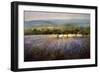 Lavender & Orchard Landscape-Ken Hildrew-Framed Art Print