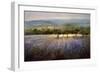 Lavender & Orchard Landscape-Ken Hildrew-Framed Art Print