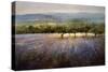 Lavender & Orchard Landscape-Ken Hildrew-Stretched Canvas