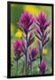 Lavender Paintbrush-Ken Archer-Framed Premium Photographic Print