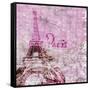 Lavender Paris-LuAnn Roberto-Framed Stretched Canvas