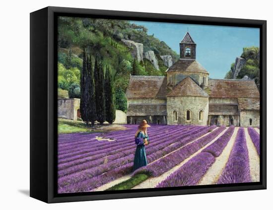 Lavender Picker, Abbaye Senanque, Provence-Trevor Neal-Framed Stretched Canvas