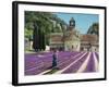 Lavender Picker, Abbaye Senanque, Provence-Trevor Neal-Framed Giclee Print