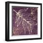 Lavender Pistache-Booker Morey-Framed Art Print