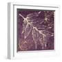 Lavender Pistache-Booker Morey-Framed Art Print