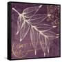 Lavender Pistache-Booker Morey-Framed Stretched Canvas