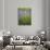 Lavender Plants, Washington, USA-Brent Bergherm-Photographic Print displayed on a wall