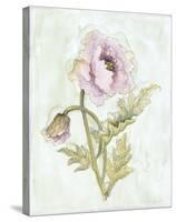 Lavender Poppy ll-Peggy Abrams-Stretched Canvas