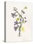 Lavender Pressed Keepsakes I-Emma Caroline-Stretched Canvas