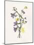 Lavender Pressed Keepsakes I-Emma Caroline-Mounted Art Print