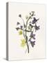 Lavender Pressed Keepsakes II-Emma Caroline-Stretched Canvas