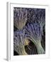 Lavender, Provence, France-Walter Bibikow-Framed Photographic Print