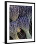 Lavender, Provence, France-Walter Bibikow-Framed Photographic Print