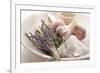 Lavender, Rosemary, Salt and Garlic-Eising Studio - Food Photo and Video-Framed Photographic Print