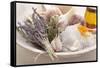 Lavender, Rosemary, Salt, Garlic, Orange Zest and Oil-Eising Studio - Food Photo and Video-Framed Stretched Canvas