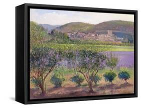 Lavender Seen Through Quince Trees, Monclus-Timothy Easton-Framed Stretched Canvas