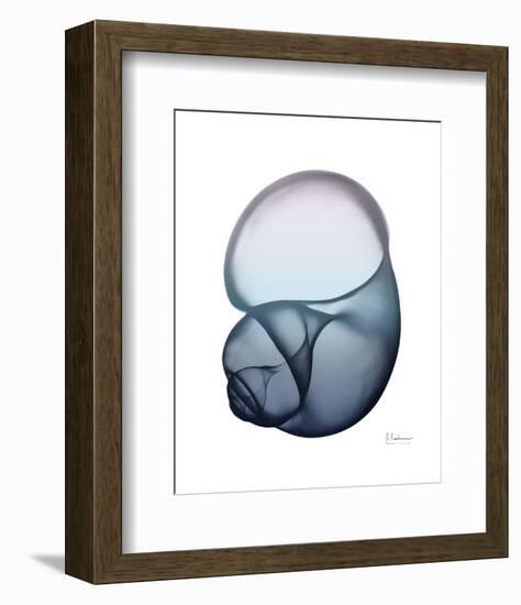 Lavender Snail 1-Albert Koetsier-Framed Photo