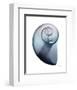 Lavender Snail 2-Albert Koetsier-Framed Photo