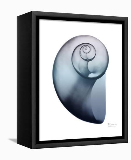 Lavender Snail 2-Albert Koetsier-Framed Stretched Canvas