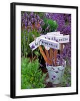 Lavender Stakes with Names and Lavender in Pots, Washington, USA-Janell Davidson-Framed Photographic Print