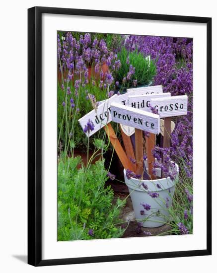 Lavender Stakes with Names and Lavender in Pots, Washington, USA-Janell Davidson-Framed Photographic Print