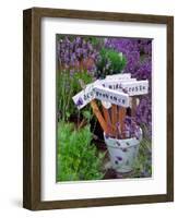 Lavender Stakes with Names and Lavender in Pots, Washington, USA-Janell Davidson-Framed Photographic Print