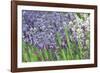 Lavender Sway II-Dana Styber-Framed Photographic Print