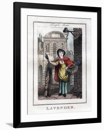 Lavender, Temple Bar, London, 1805-null-Framed Giclee Print