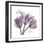 Lavender Temptation 1-Albert Koetsier-Framed Art Print