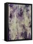 Lavender Touch-Randy Hibberd-Framed Stretched Canvas